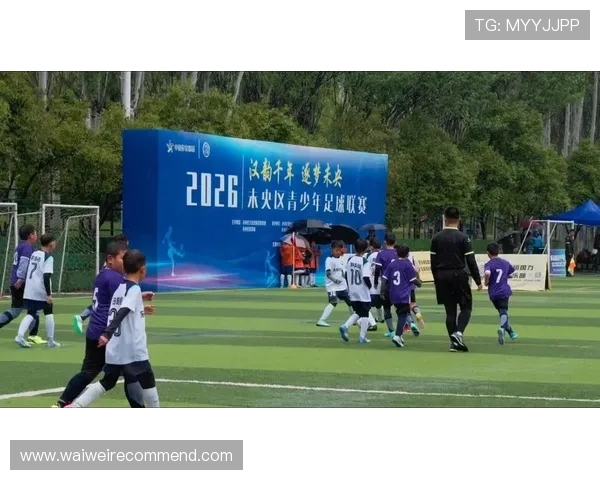 足球直播数字站：如何通过数字站在线观看各大联赛精彩比赛内容